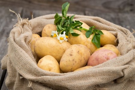 Гастроэнтеролог предупредил о смертельной опасности картофеля