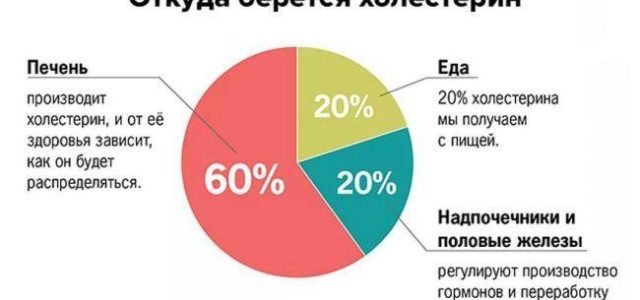 Преимущества приема статинов для лечения высокого уровня холестерина