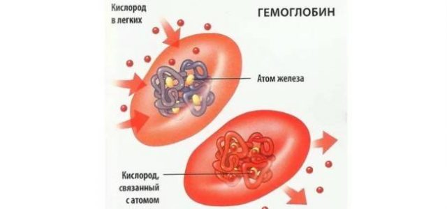 Нормальный уровень кислорода в крови: что безопасно, а что низко