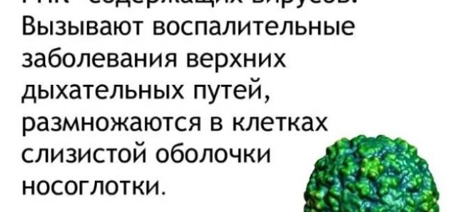 Что вызывает простуду