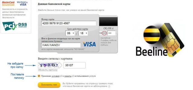 Пополнение счета Билайн банковской картой через интернет, терминал или в офисе компании
