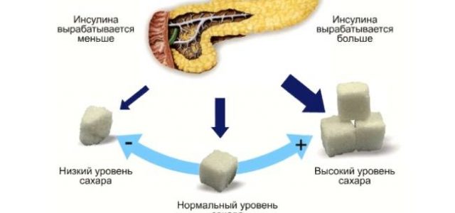 Что произойдет, если недиабетик примет инсулин