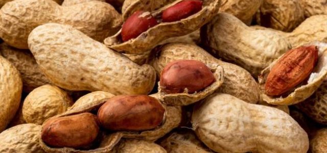 Польза орехов для здоровья