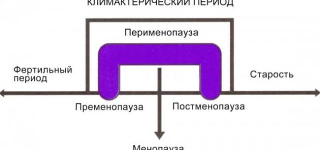 Сколько стадий у менопаузы, чего ждать от каждой