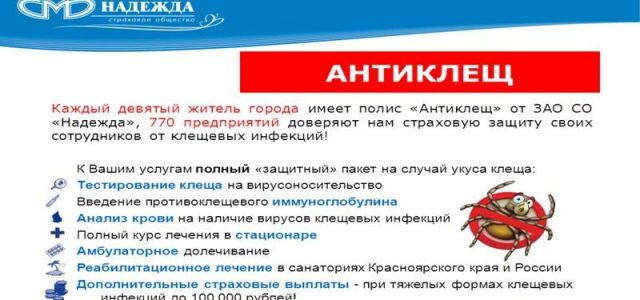 Страхование от укуса клеща: как оформить страховой полис