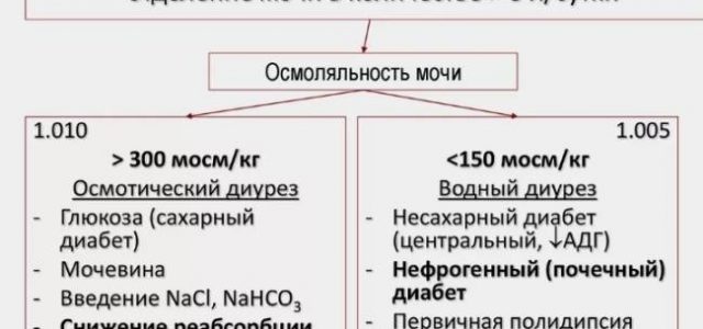 Как справиться с повышенным мочеиспусканием при диабете