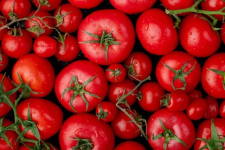 Гастроэнтеролог Кашух порекомендовала с осторожностью есть помидоры и клубнику