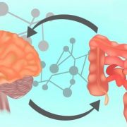 Как связаны кишечник и здоровье мозга