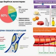 Как возраст и пол могут повлиять на уровень холестерина