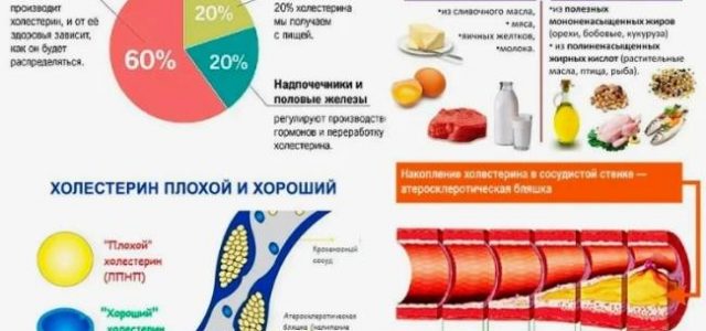 Как возраст и пол могут повлиять на уровень холестерина