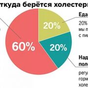 Какой должен быть холестерин после 50 лет — норма для мужчин и женщин