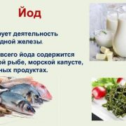 Продукты с высоким содержанием йода, которые стоит включить в рацион