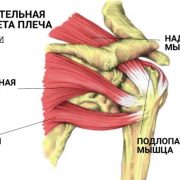 Что такое разрыв вращающей манжеты