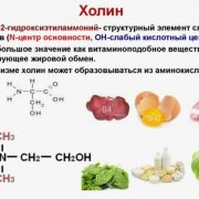 Из каких продуктов можно получить холин