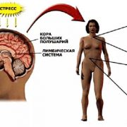 9 опасных влияний стресса на ваше тело