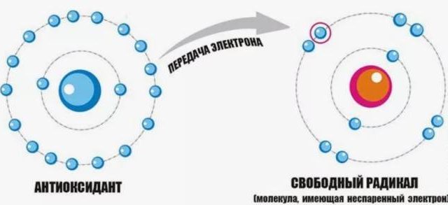 Что такое антиоксиданты
