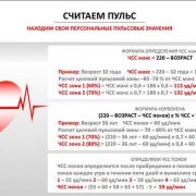 Норма пульса у человека по возрастам