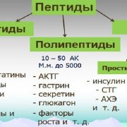 Пептиды для кожи после 50 лет