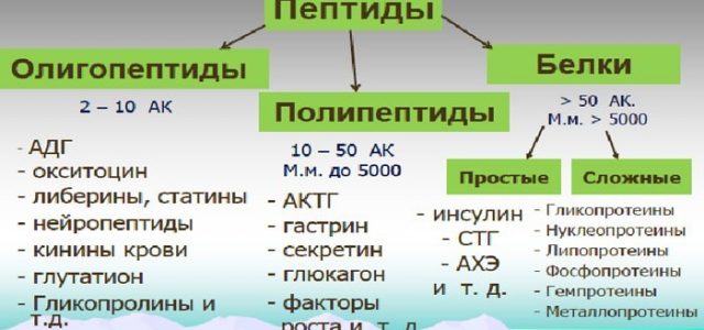 Пептиды для кожи после 50 лет